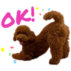 [LINEスタンプ] ショウガのまいにち