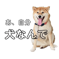 [LINEスタンプ] たびあんスタンプ