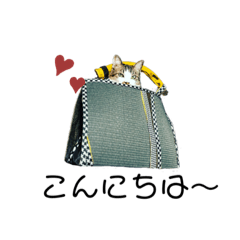 [LINEスタンプ] KUNIYACATsスタンプ