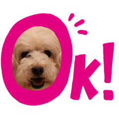 [LINEスタンプ] dog sticker！