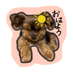 [LINEスタンプ] calmのスタンプꪔ̤̮