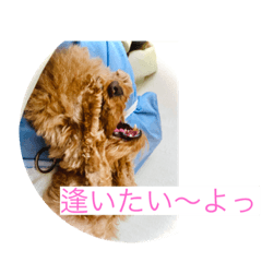 [LINEスタンプ] 文子心の叫び