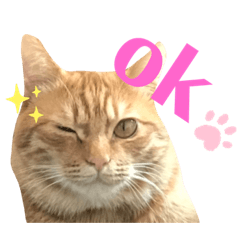 [LINEスタンプ] おかかとひじきの日常