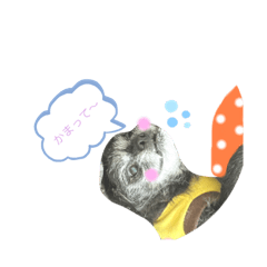 [LINEスタンプ] パプちゃんの日常2.