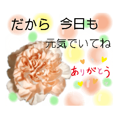 [LINEスタンプ] 元気でいて