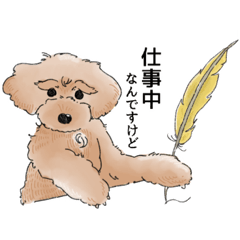 [LINEスタンプ] トイプードルのわんちゃん