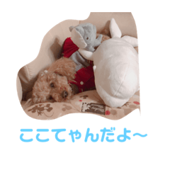 [LINEスタンプ] ここてゃんだよ〜
