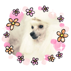 [LINEスタンプ] まのんすたんぷ