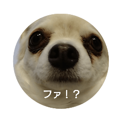 [LINEスタンプ] マロマロマロマロ