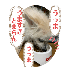 [LINEスタンプ] 女帝様の日常〜使いやすい編〜