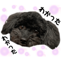 [LINEスタンプ] クルミとみるく