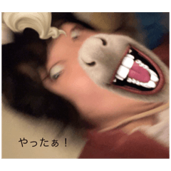 [LINEスタンプ] 煽りたい時に使うラバ☆