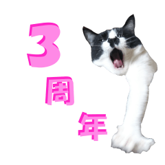 [LINEスタンプ] 木更津猫チョビすけ_03