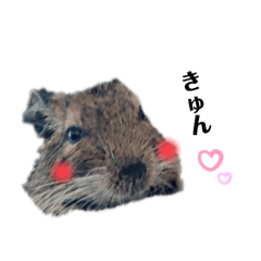 [LINEスタンプ] デグーのいる生活♡2