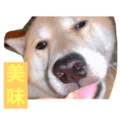 [LINEスタンプ] 僕、北斗