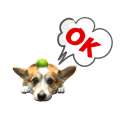 [LINEスタンプ] コーギー犬レオの日常3