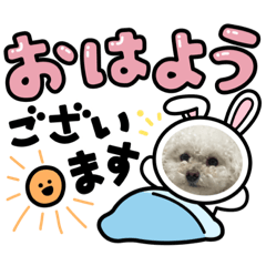 [LINEスタンプ] LALAだよん