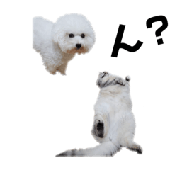 [LINEスタンプ] Angel ＆ Heidi(bonus aiku