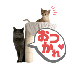 [LINEスタンプ] チュイとパニャ