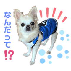 [LINEスタンプ] 雷（らい）