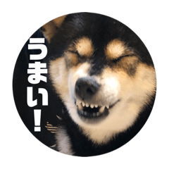 [LINEスタンプ] 桃香スタンプその2