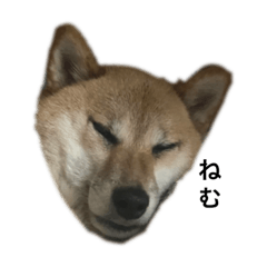[LINEスタンプ] ナツの日常スタンプ