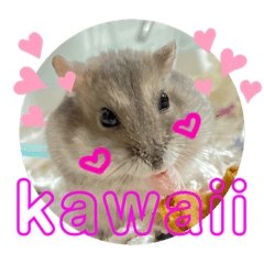 [LINEスタンプ] ハムスター 剛
