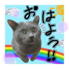 [LINEスタンプ] くもりくんの日常スタンプ。