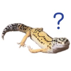 [LINEスタンプ] きんぐ＆ぬー2