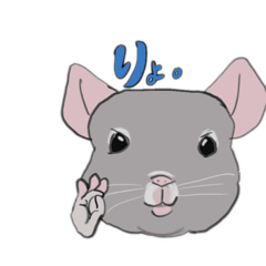 [LINEスタンプ] チンチラのせいかつ