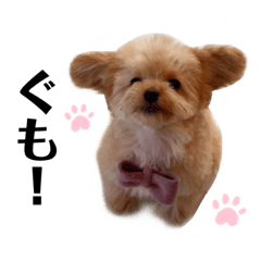 [LINEスタンプ] おばぁわんズ