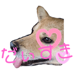 [LINEスタンプ] 雀(すずめ)