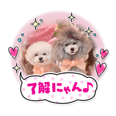 [LINEスタンプ] ソフィ＆イヴ
