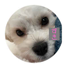 [LINEスタンプ] マルプーのラナ
