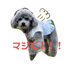 [LINEスタンプ] れいさんの気持ち