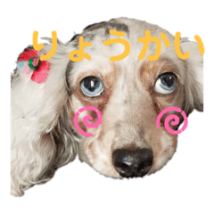 [LINEスタンプ] ケリーとポッキー
