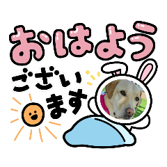 [LINEスタンプ] ジュラ～ラ