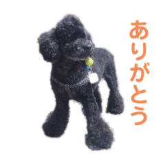 [LINEスタンプ] ルパンくんのスタンプ