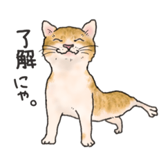 [LINEスタンプ] にゃんぽぽ