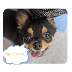 [LINEスタンプ] きぃくんの気持ち