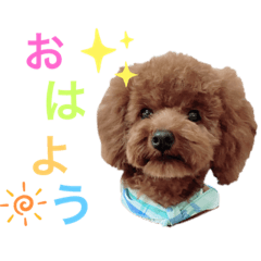 [LINEスタンプ] 花虎(カトラ)のスタンプ
