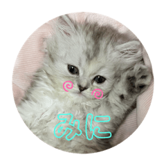 [LINEスタンプ] みにちゃんすたんぷ