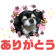 [LINEスタンプ] 久野家の人々