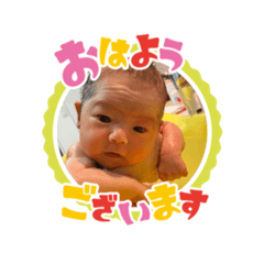 [LINEスタンプ] ひなたすたんぷ0352