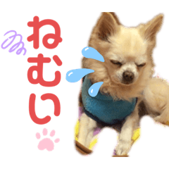 [LINEスタンプ] らいとみ-ちゃん