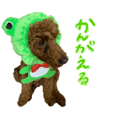 [LINEスタンプ] 愛すべきくうちゃん第三弾