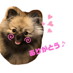 [LINEスタンプ] OLiのスタンプ