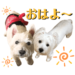 [LINEスタンプ] イブ＆きなこ