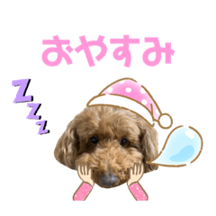 [LINEスタンプ] ボクのかぞくたち