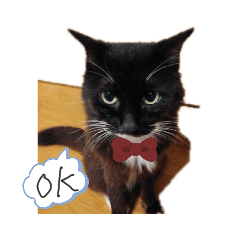 [LINEスタンプ] mikotoだよ